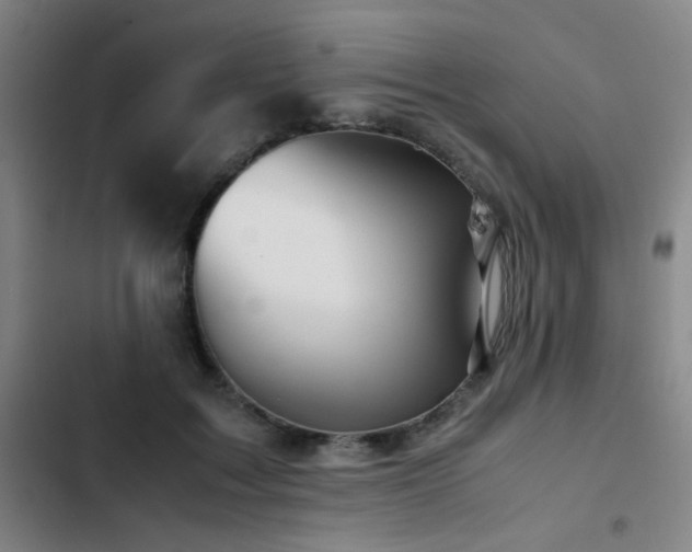 X0000103310603200808291430