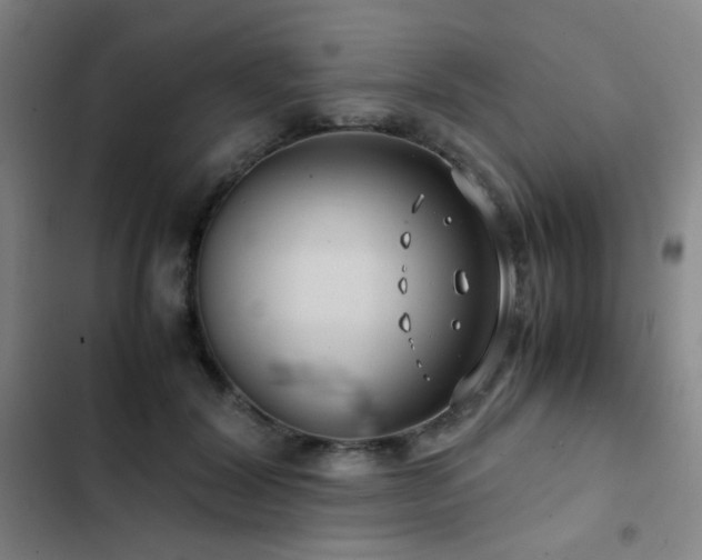 X0000103310604200808291430