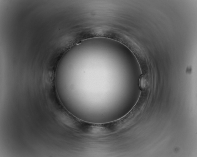 X0000103310605200808291430