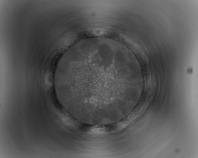 X0000103310606200808291430