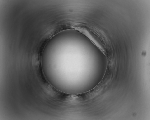 X0000103310607200808291430
