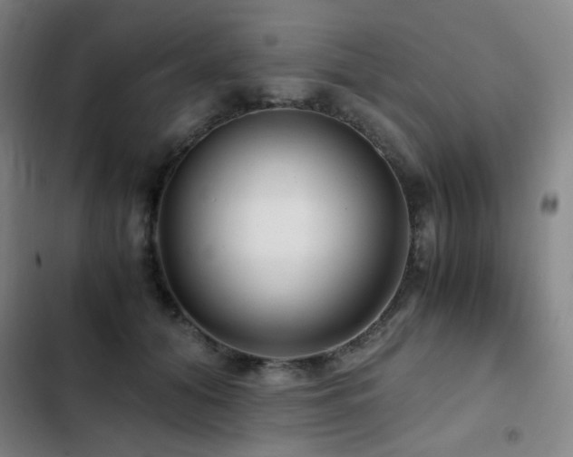 X0000103310608200808291430