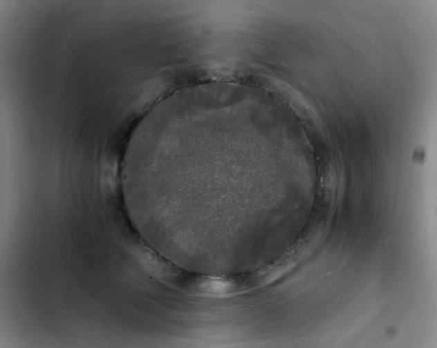 X0000103310610200808291430