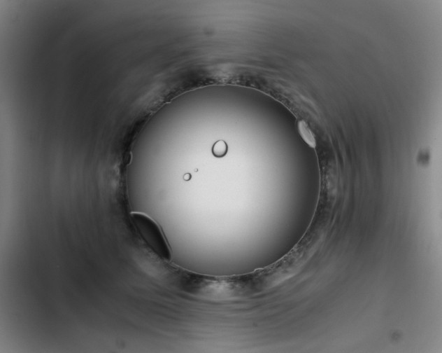 X0000103310611200808291430