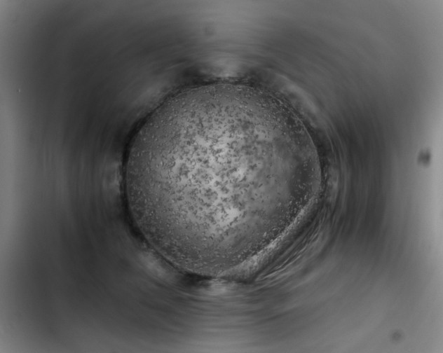 X0000103310612200808291430