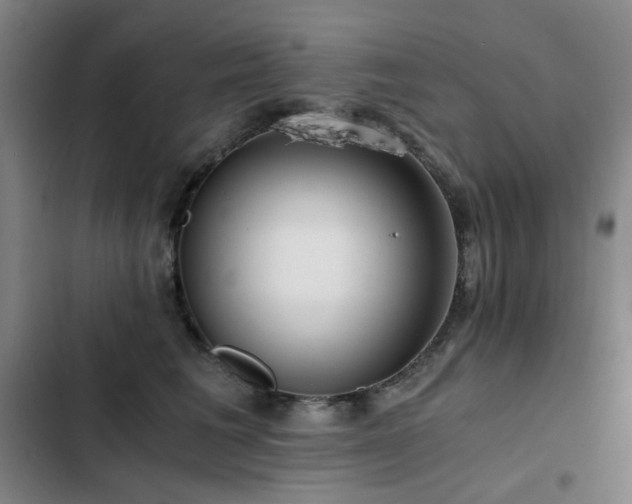 X0000103310613200808291430