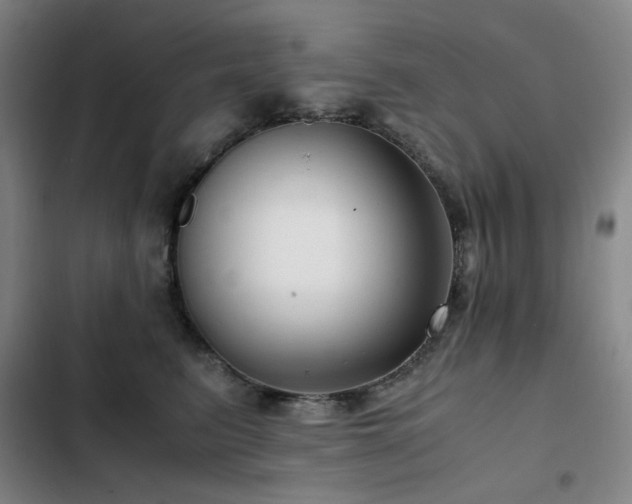 X0000103310615200808291430