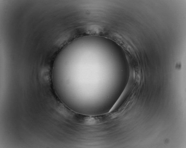 X0000103310616200808291430
