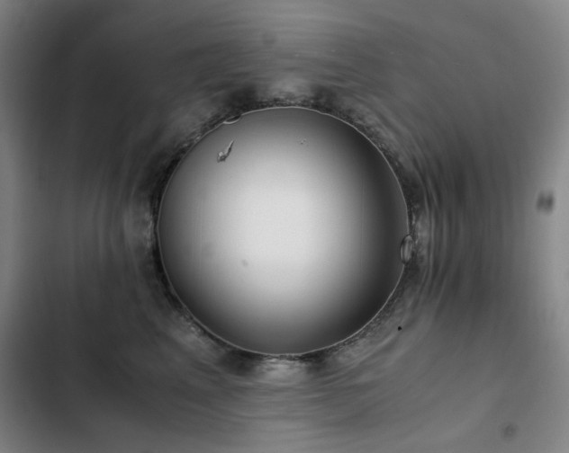 X0000103310617200808291430