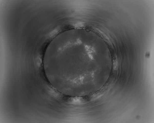 X0000103310618200808291430