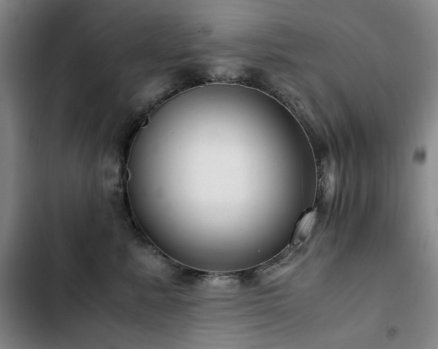X0000103310619200808291430