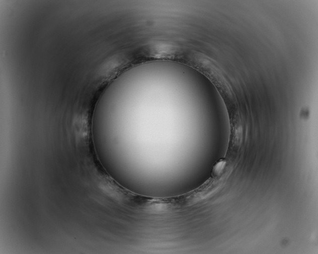 X0000103310620200808291430