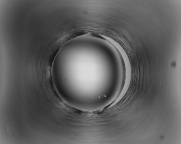 X0000103310621200808291430
