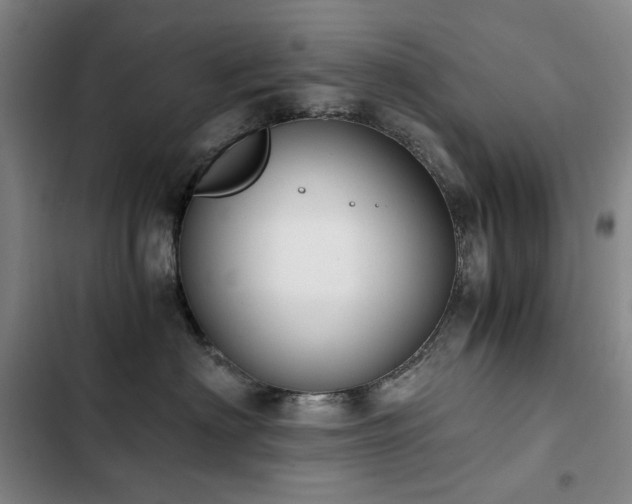X0000103310622200808291430