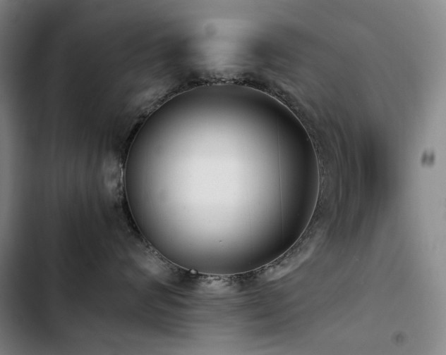 X0000103310624200808291430