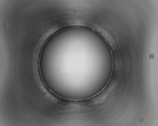 X0000103310625200808291429