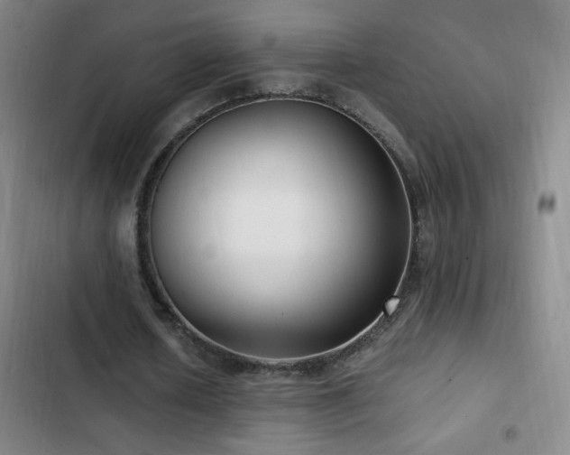 X0000103310626200808291429