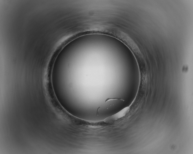 X0000103310628200808291429