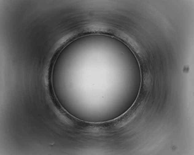 X0000103310629200808291430