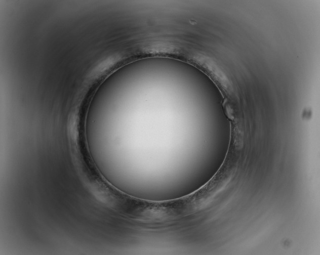 X0000103310631200808291430