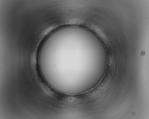 X0000103310632200808291430