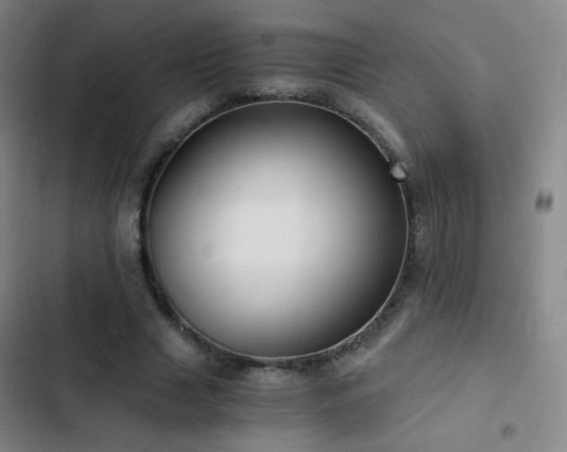 X0000103310633200808291430