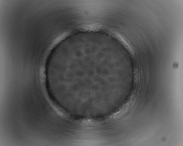 X0000103310634200808291430