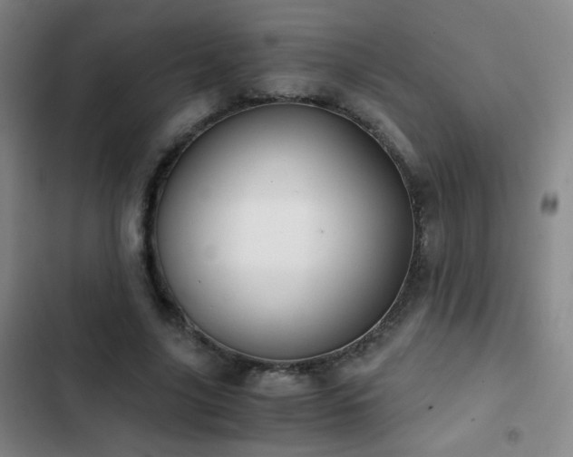 X0000103310635200808291430