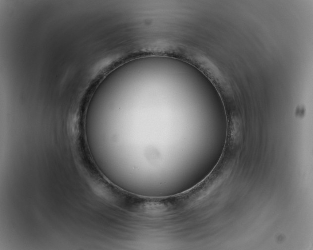 X0000103310636200808291430
