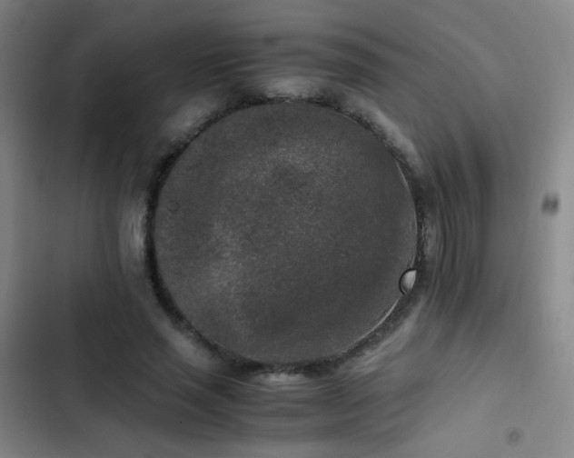 X0000103310637200808291430
