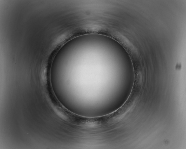 X0000103310638200808291430