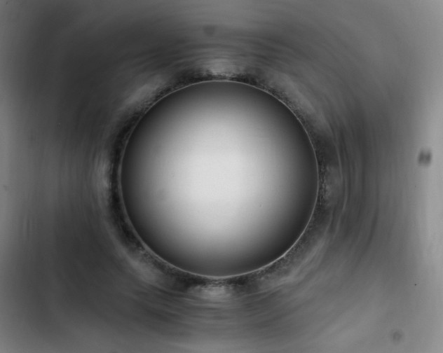 X0000103310639200808291430