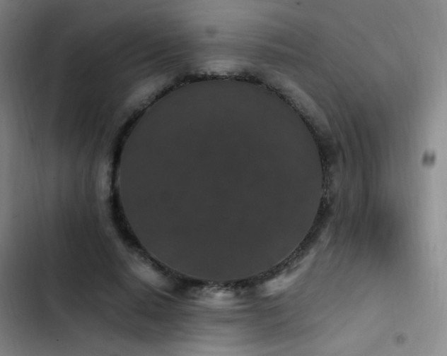 X0000103310640200808291430