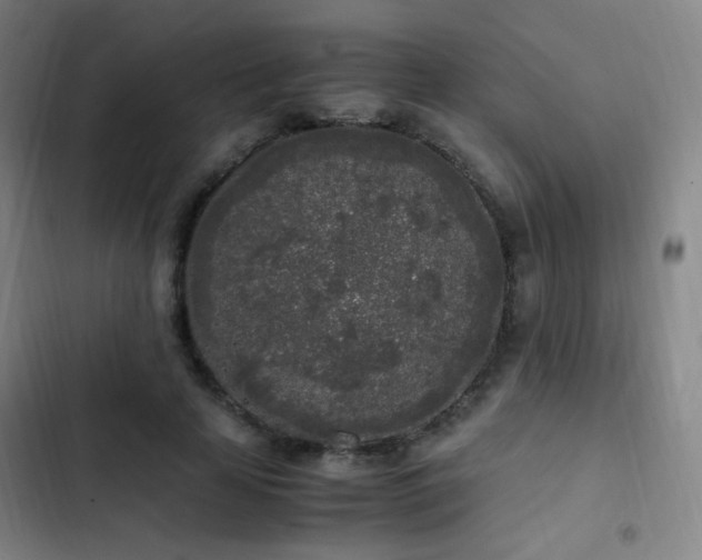 X0000103310641200808291430