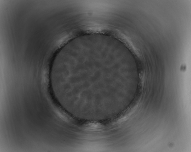 X0000103310642200808291430