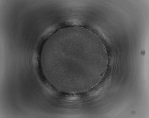 X0000103310643200808291430