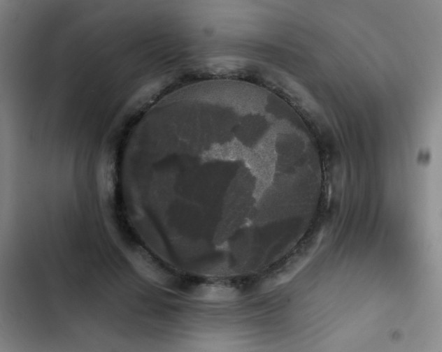 X0000103310644200808291430