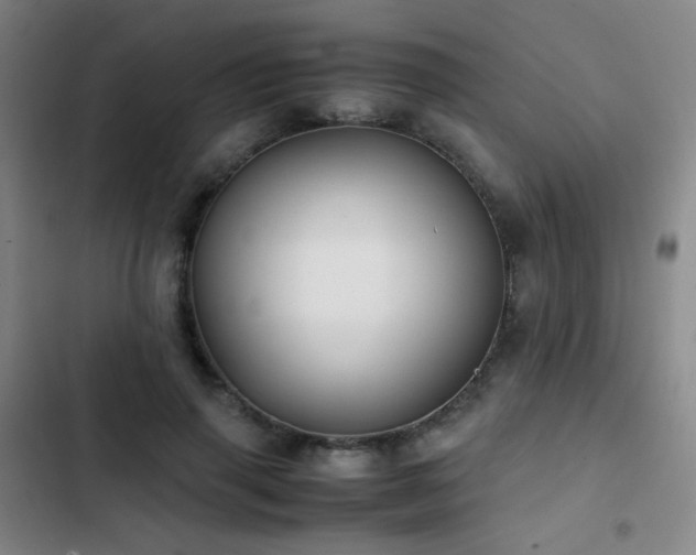 X0000103310645200808291430