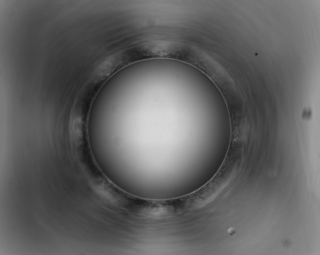 X0000103310646200808291430