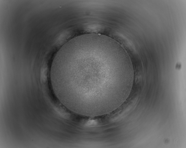 X0000103310647200808291430