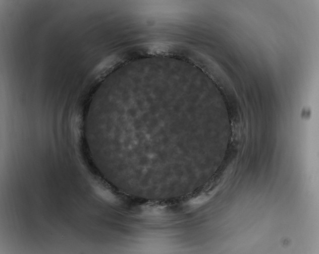 X0000103310648200808291430