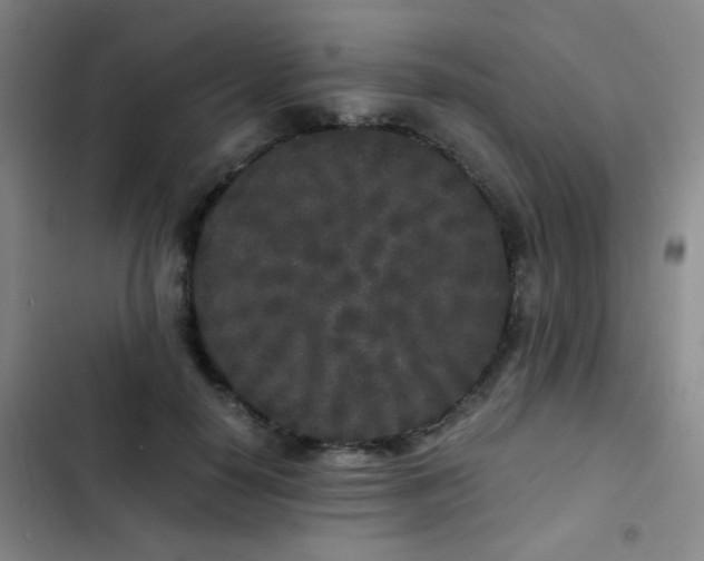 X0000103310650200808291430