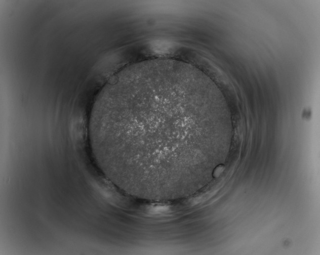 X0000103310651200808291430