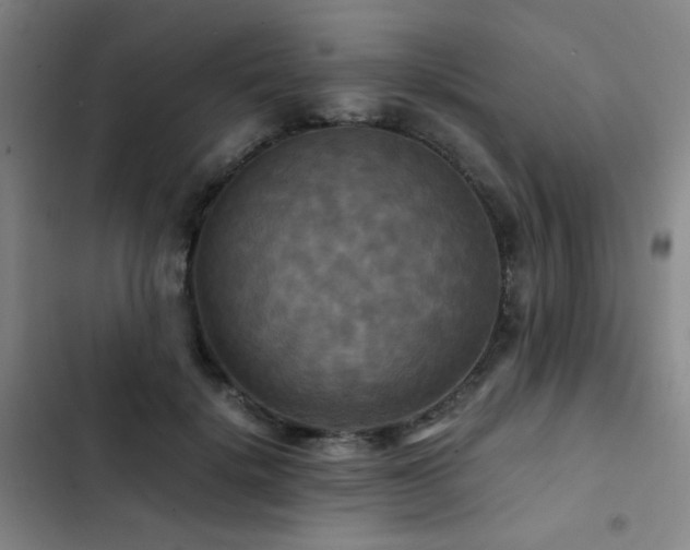 X0000103310652200808291430