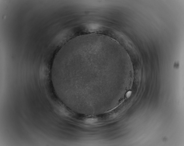 X0000103310653200808291430