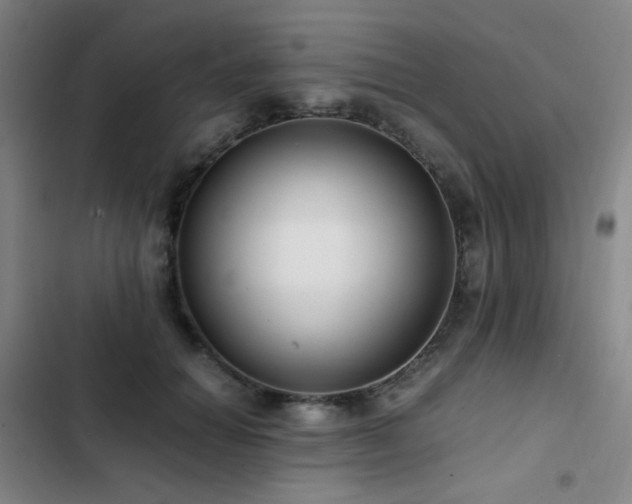 X0000103310654200808291430