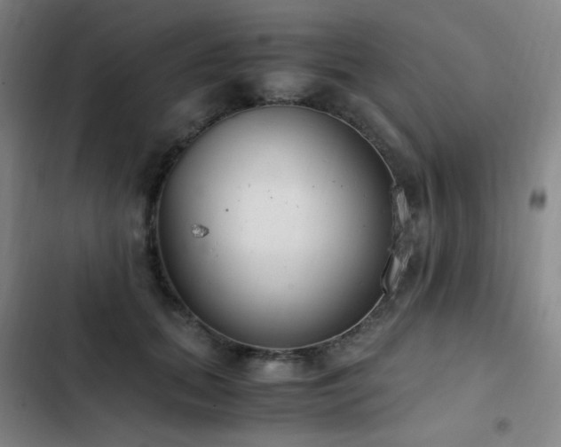 X0000103310655200808291430