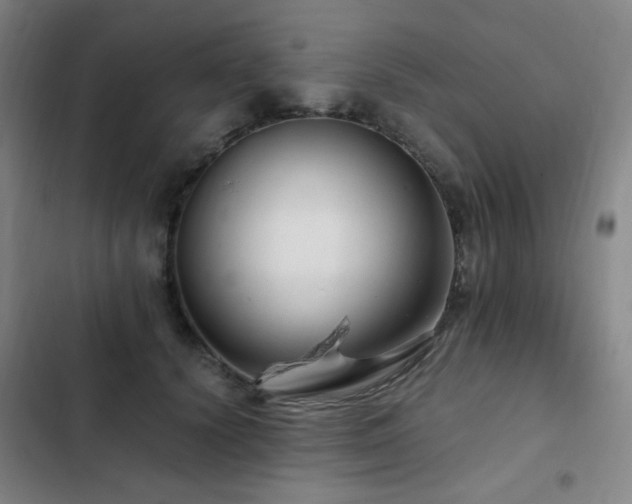 X0000103310656200808291430
