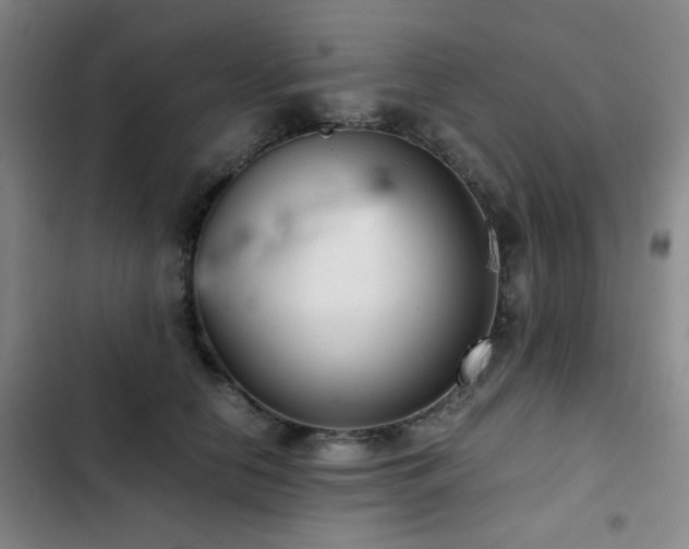 X0000103310658200808291430