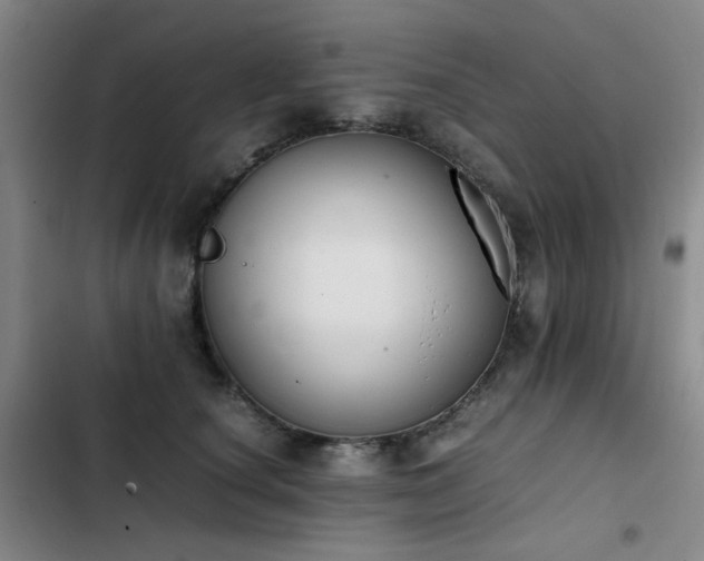 X0000103310660200808291430